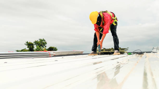 Best Rubber Roofing (EPDM, TPO)  in Richmond Heights, FL
