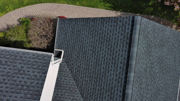 Professional Roofing Service in Richmond Heights, FL
